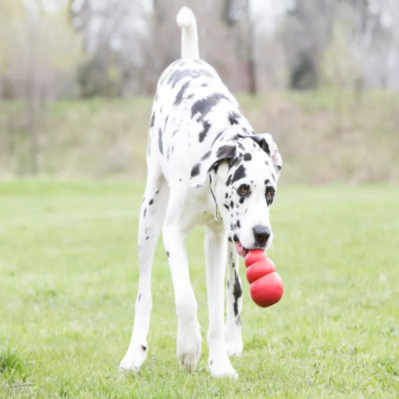 Pet Supplies Gourd Bite-resistant Food Leakage Rubber Dog Toy